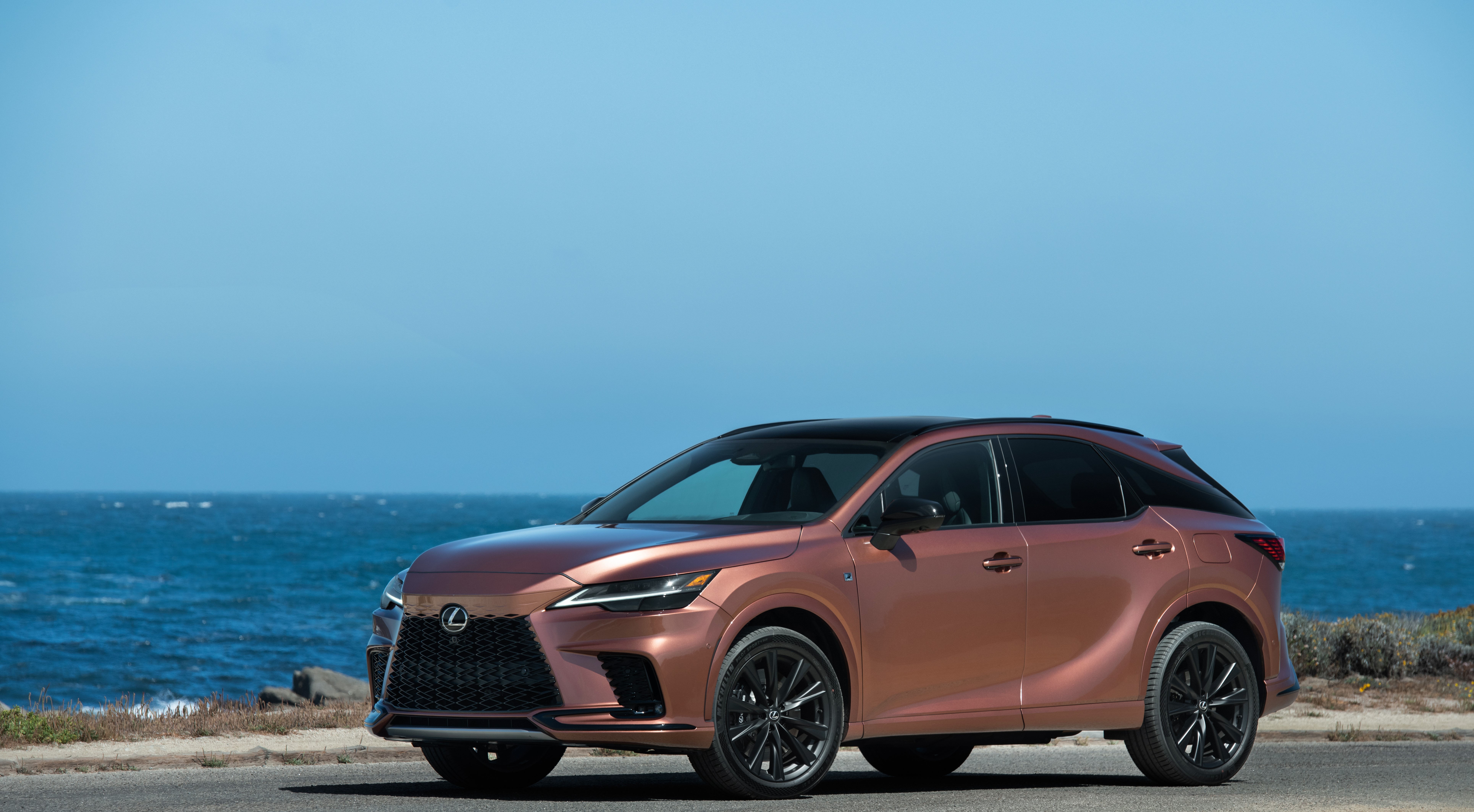 Fifth-gen Lexus RX has broad range, including performance – Jim ...